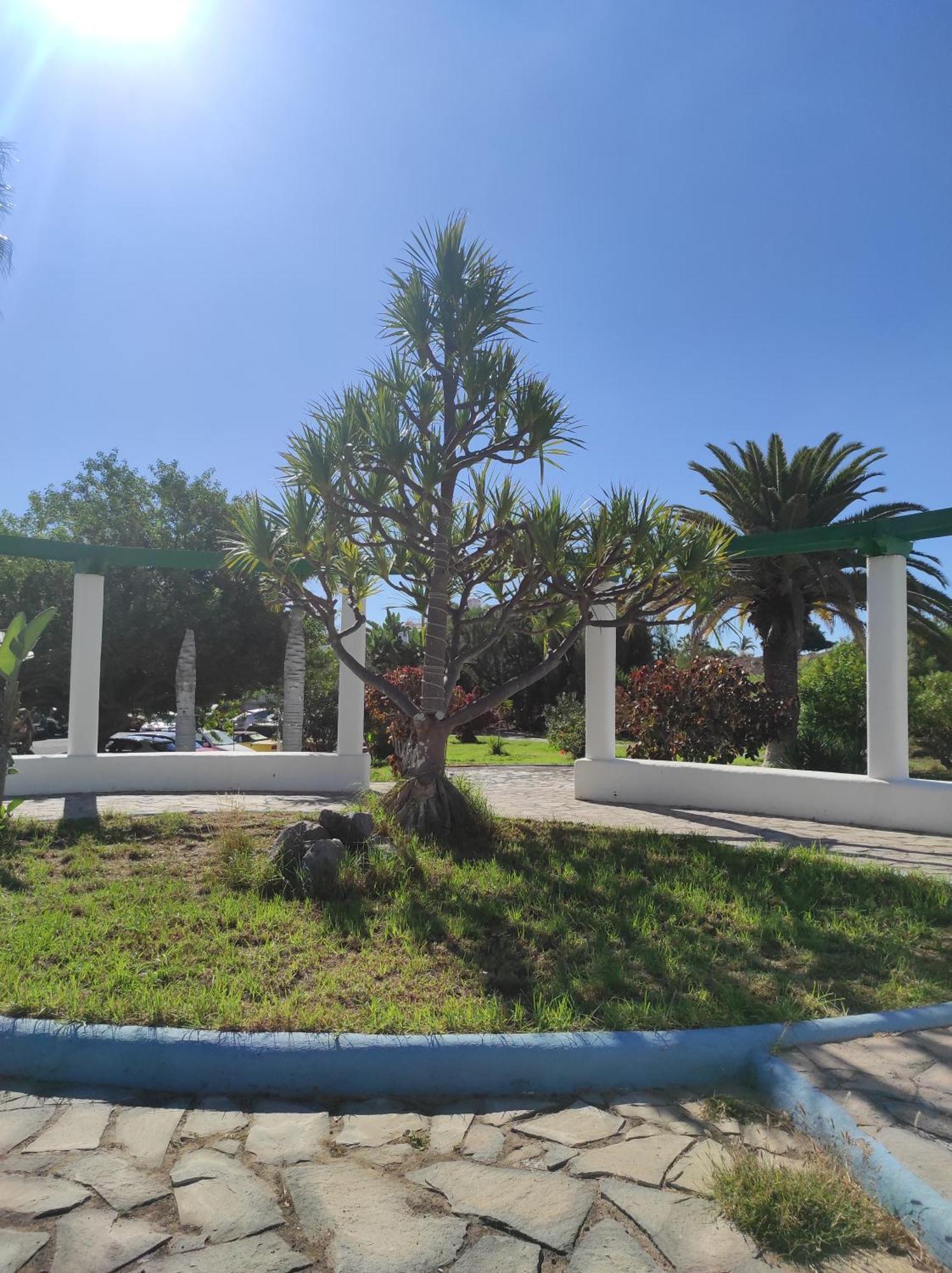 Maria Luxury Apartament Golf Del Sur Tenerife سان ميغيل ذي أبونا المظهر الخارجي الصورة